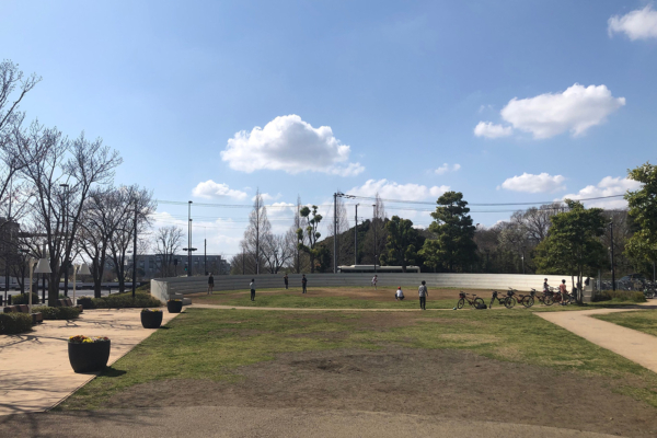 かしわのはらっぱ